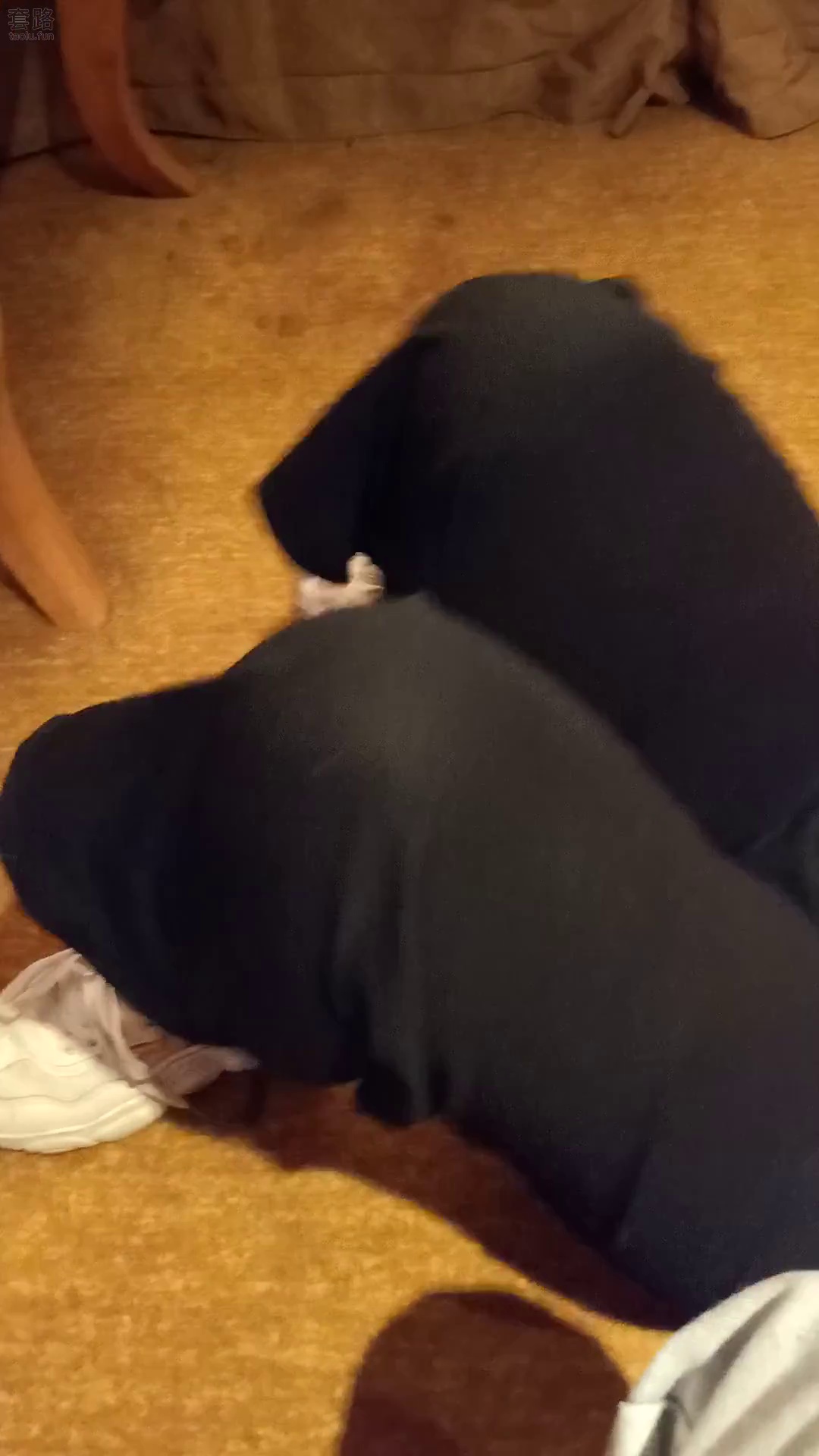 39_【哈宝S调女M】女奴伺候的舒服