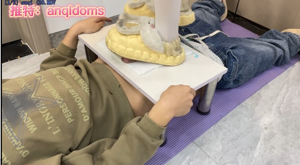 anqidoms