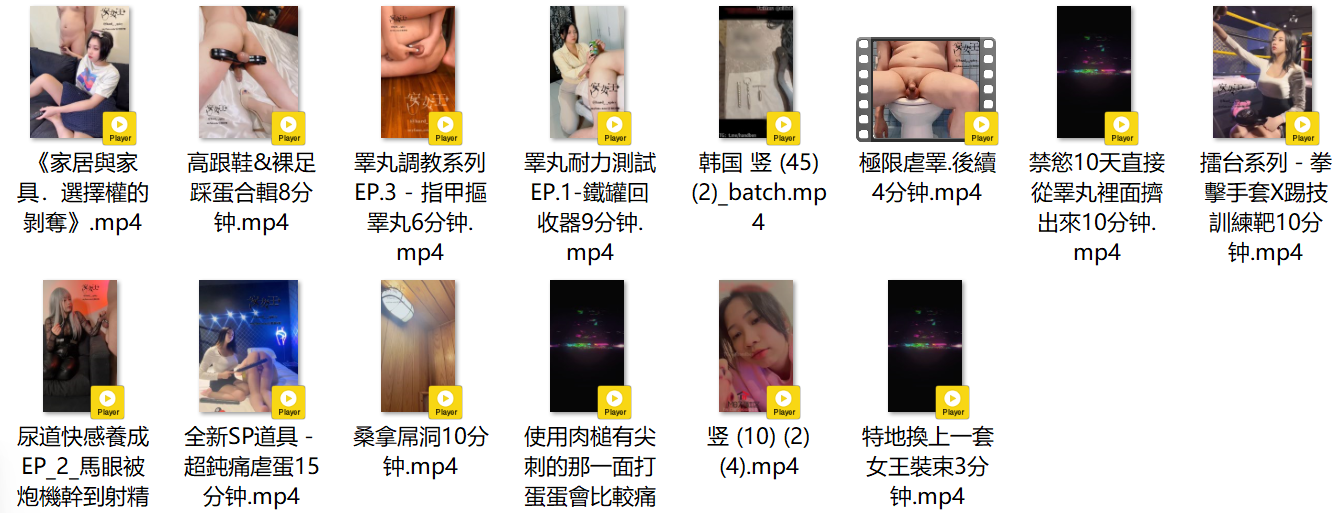 台湾安女王 道具篇